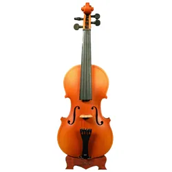 Souvenir Geigen