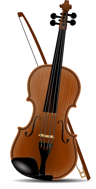 Geige (Violine)