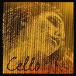 Evah Pirazzi Gold Cello