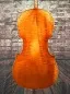 Preview: Boden-Ansicht eines Stoica Alin Meister Cello Handarbeit aus Siebenbürgen 2021