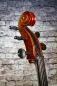 Mobile Preview: Simon Joseph 4/4 Meister Cello, STRADIVARIUS 5Saiter Modell