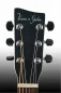 Mobile Preview: VGS E-Akustik Gitarre Guitar VGS BR-20 CE Belle Rose