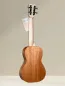 Preview: APC CL Simple Concert Ukulele aus massivem Mahagoni - Rückansicht