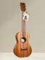 Preview: APC CL Simple Concert Ukulele aus massivem Mahagoni - Vorderansicht