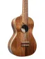 Preview: APC CS Simple Concert Ukulele aus massiver Koa-Akazie mit offenporigem Finish – handgefertigt in Portugal - Deckenansicht