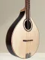 Preview: APC IRB312 Artist Irish Bouzouki – Massivholz, Fichte & Palisander, inkl. Koffer - Deckeansicht, seitlich