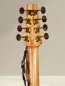 Preview: APC IRB312 Artist Irish Bouzouki – Massivholz, Fichte & Palisander, inkl. Koffer - Kopfansicht, hinten