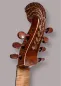 Preview: 7-saitige Bassgambe nach Nicolas Bertrand gebaut 2024– Schneckeansicht hinten seitlich