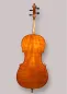 Preview: Bucur Ioan Professional 4/4 Linkshänder Cello 2025 (Nr. 2) – Rückansicht