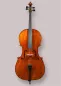 Preview: Bucur Ioan Professional 4/4 Linkshänder Cello 2025 (Nr. 2) – Vorderansicht