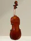 Preview: Bucur Ioan 39,9 cm Viola aus Reghin, gebaut 2021 – Rückansicht seitlich