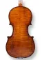 Preview: Professional Violine Butiu Cornel Stradivari Modell 2024 -Bodenansicht