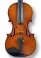 Preview: Professional Violine Butiu Cornel Stradivari Modell 2024 -Deckeansicht
