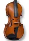 Preview: Professional Violine Butiu Cornel Stradivari Modell 2024 -Decke-Zargeansicht