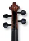Preview: Professional Violine Butiu Cornel Stradivari Modell 2024 -Schneckeansicht von vorne