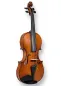 Preview: Professional Violine Butiu Cornel Stradivari Modell 2024 -Vorderansicht