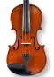 Preview: 2024 Handgefertigte Violine Geige von Butiu Cornel nach Stradivarius Modell - Deckensicht