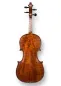 Preview: 2024 Handgefertigte Violine Geige von Butiu Cornel nach Stradivarius Modell - Rückansicht