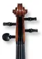 Preview: 2024 Handgefertigte Violine Geige von Butiu Cornel nach Stradivarius Modell - Schneckeansicht vorne