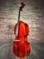 Preview: Seiten-Decke-Detailansicht einer Simon Joseph Montagnana Cello (Violoncello) Handarbeit 2022