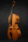 Mobile Preview: Front- Seitenansicht eines Kalas Csaba 4/4 Meister Cello (Violoncello) nach Stradivarius Handarbeit 2022