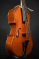 Mobile Preview: Simon Joseph 5Saiter Cello (Violoncello) da Spalla oder Viola (Bratsche) Pomposa_Decken-Seitenansicht