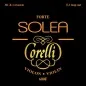 Preview: Corelli Solea 4/4 Geige (Violine) Saiten SATZ 600F E-Schlinge Forte (Stark)