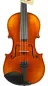Preview: GEWA 4/4 Geige (Violine) Modell Maestro 1 Deckenansicht