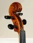 Preview: Geige (Violine) 4/4 aus Reghin Rumänien Baujahr 2025 - Schneckeansicht, vorne, seitlich