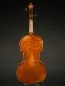 Preview: Back-Detailansicht einer Butiu Cornel \"die Bottega\" Geige (Violine) Handarbeit 2022