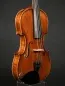 Mobile Preview: Decken-Zarge-Detailansicht einer Butiu Cornel \"die Bottega\" Geige (Violine) Handarbeit 2022