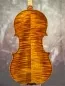 Preview: Boden-Detailansicht einer Gheorghe Ludovic 7/8 di Botteg Geige (Violine) Handarbeit 2021