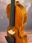 Mobile Preview: Halsansatz-vorne-Detailansicht einer Gheorghe Ludovic 7/8 di Botteg Geige (Violine) Handarbeit 2021