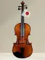 Preview: GEWA Maestro 2 4/4 Violine – Vorderansicht