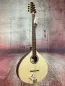 Preview: Frontansicht einer APC Artist Portugiesisch Bouzouki Modell PTB310 gebaut in Portugal