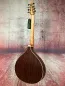 Preview: Rueckansicht einer APC Artist Portugiesisch Bouzouki Modell PTB310 gebaut in Portugal