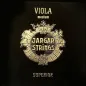 Preview: Jargar SUPERIOR 4/4 Bratsche (Viola) Saiten SATZ Preview: Jargar SUPERIOR 4/4 Bratsche (Viola) Saiten SATZ