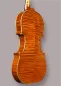 Preview: Boden-Zargenansicht einer Kalas Csaba Meister Geige (Violine) GUARNERI OLE BULL Modell gebaut 2020