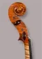 Preview: Schneckeansicht seitlich einer Kalas Csaba Meister Geige (Violine) GUARNERI OLE BULL Modell gebaut 2020