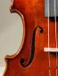 Preview: Maestro 26 Guarneri Violine 4/4 F-Loch Ansicht