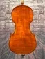 Preview: Boden-Detailansicht eines Bucur Ioan Professional Cello (Violoncello) Handarbeit aus Siebenbürgen 2023