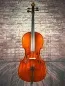 Preview: Front-Detailansicht eines Bucur Ioan Professional Cello (Violoncello) Handarbeit aus Siebenbürgen 2023