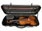 Preview: Detailansicht geöffnet mit Inhalt-Beispiel eines Petz Viola (Bratsche) rechteckig Etuis CF502-GR in der Farbe außen silber