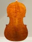 Preview: Vultur Calin 4/4 Cello nach Montagnana Sleeping Beauty Modell Baujahr 2018 - Bodenansicht