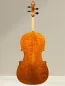 Preview: Vultur Calin 4/4 Cello nach Montagnana Sleeping Beauty Modell Baujahr 2018 - Rückansicht