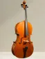 Preview: Vultur Calin 4/4 Cello nach Montagnana Sleeping Beauty Modell Baujahr 2018 - Vorderansicht seitlich