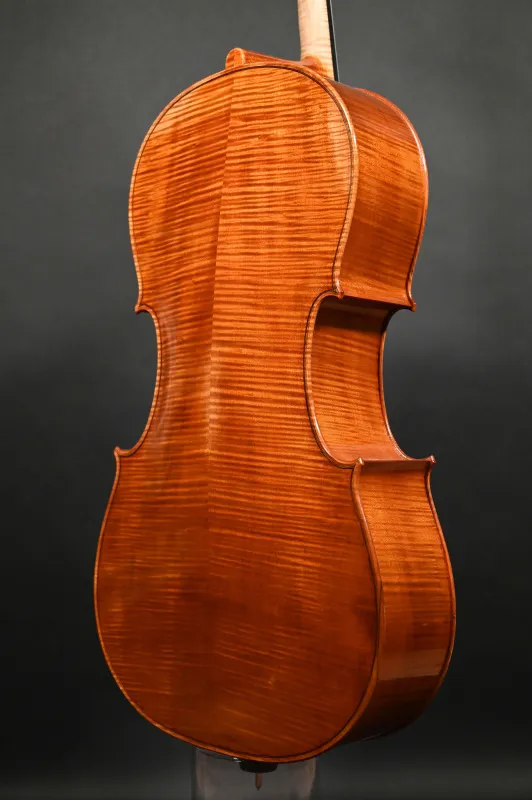 Boden- Zargenansicht eines Simon Paul 4/4 Meister Cello (Violoncello) nach Stradivarius, Handarbeit 2020