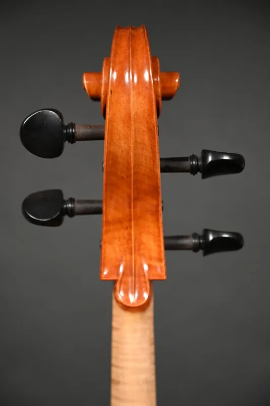 Schneckeansicht von hinten eines Simon Paul 4/4 Meister Cello (Violoncello) nach Stradivarius, Handarbeit 2020