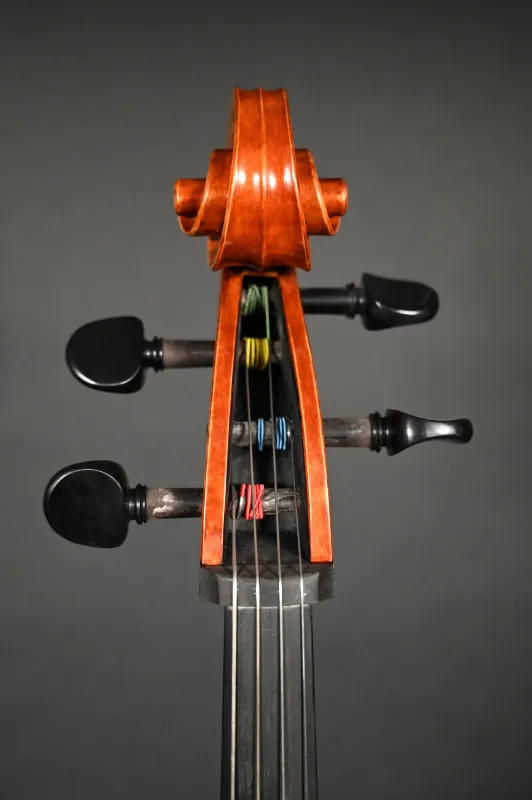 Schneckenansicht vorne eines Stoica Alin 7/8 Cello (Violoncello) Handarbeit aus Siebenbürgen 2023