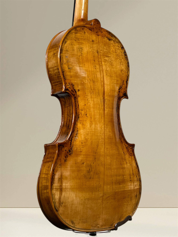 Preview: Geige von Brasnyó Antal (2024), antik lackiert, Boden- und Zargeansicht